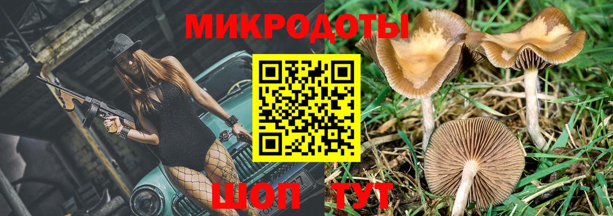 Псилоцибиновые грибы Cubensis Сибай